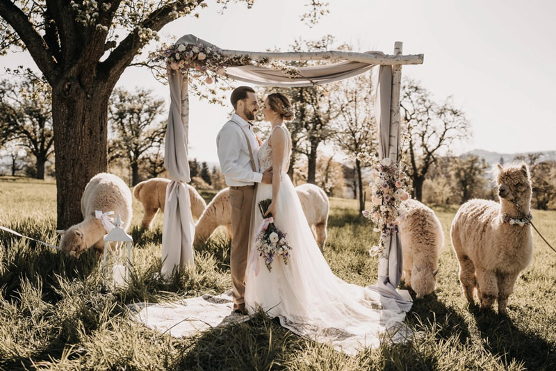 paleta de cores casamento boho rústico