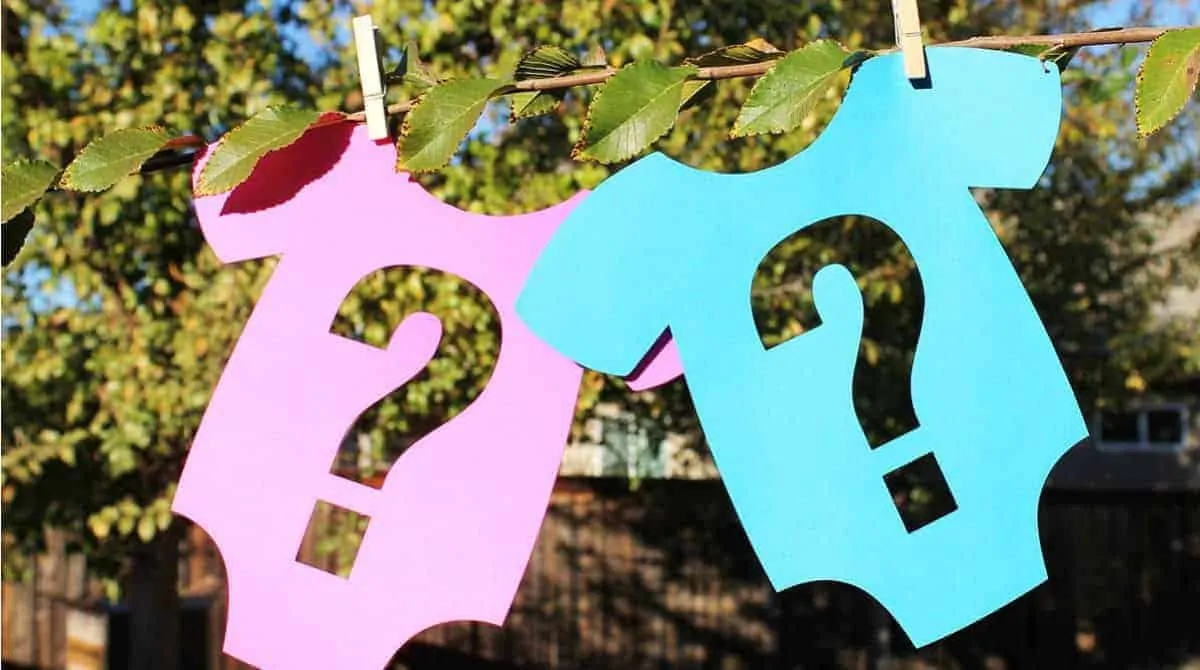 decoração chá revelação simples ao ar livre com balões