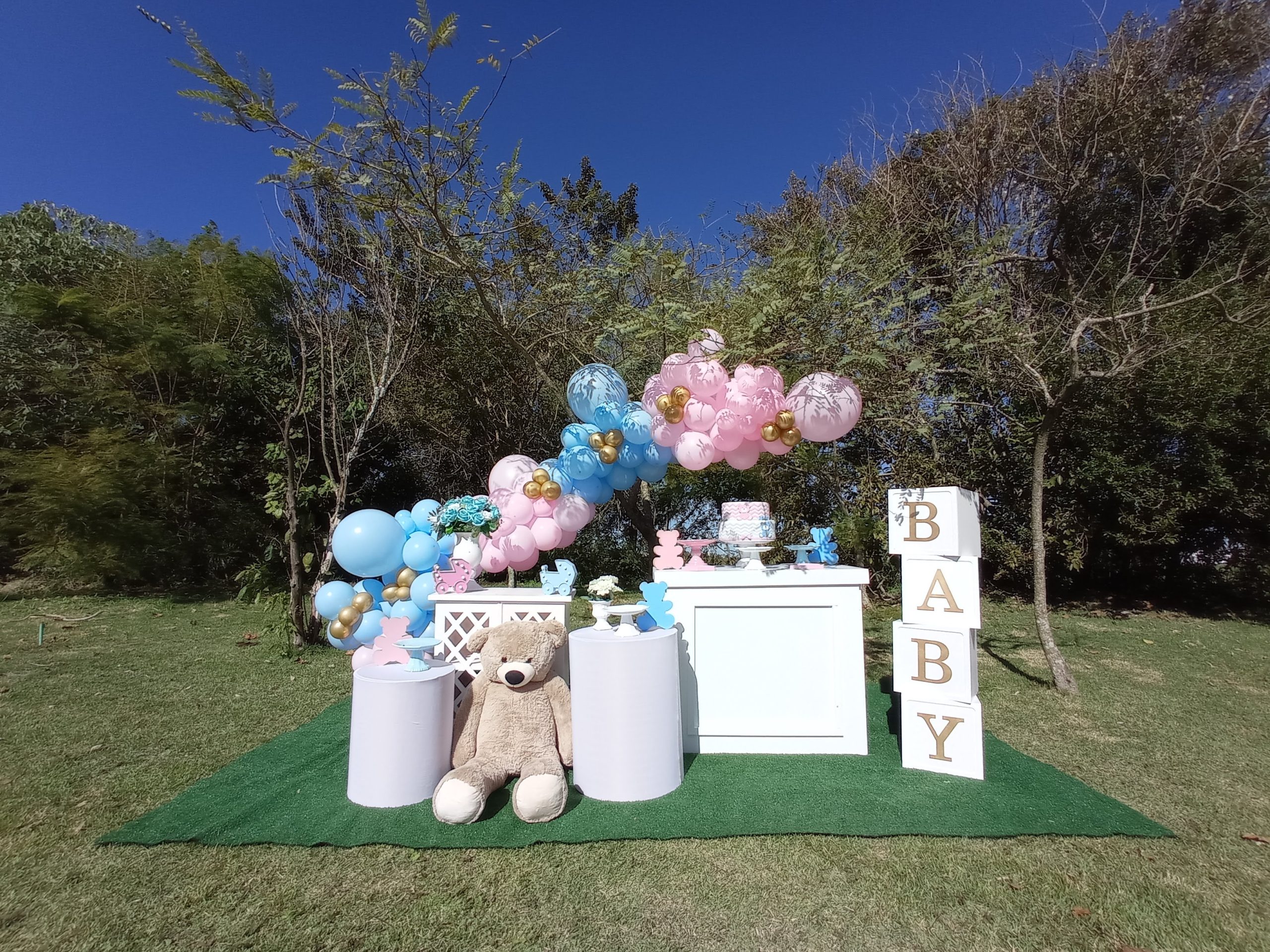 erros comuns na decoração de chá revelação simples ao ar livre