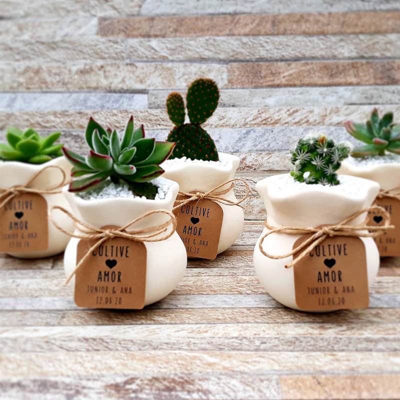 5 Estilos Criativos de Arranjos com Suculentas em Vasos de Barro