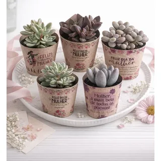 5 Estilos Criativos de Arranjos com Suculentas em Vasos de Barro