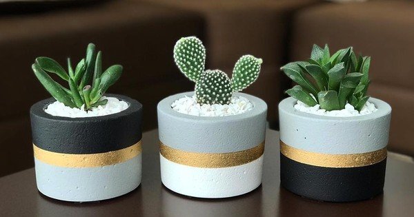 Dicas Essenciais de Cultivo para Cactos e Suculentas em Vasos de Barro