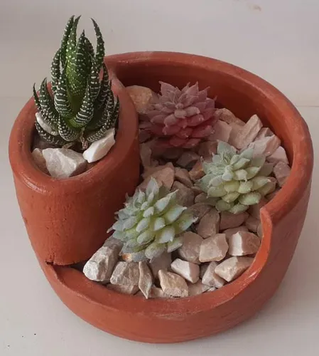 5 Estilos Criativos de Arranjos com Suculentas em Vasos de Barro