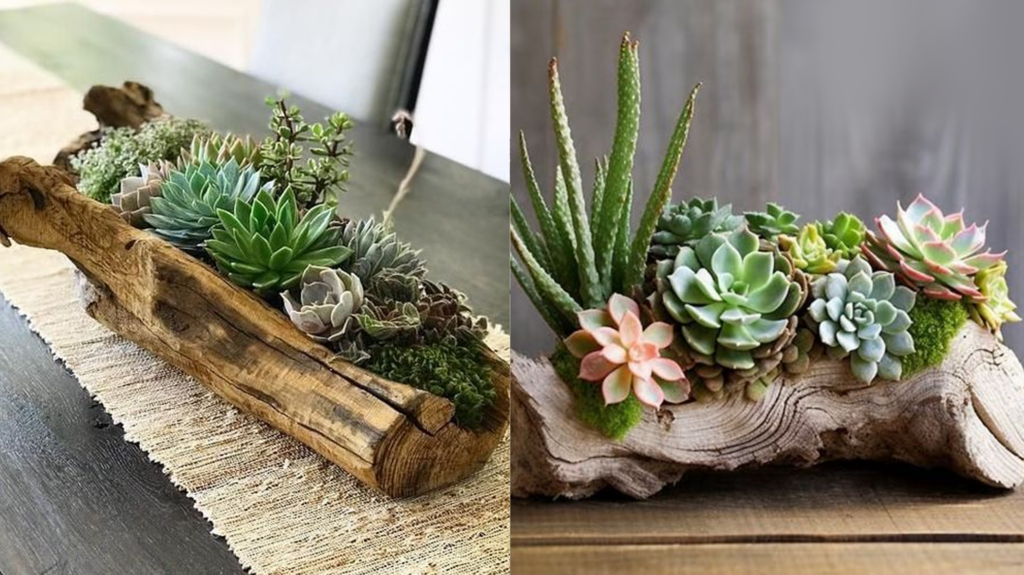 Como Personalizar Seus Vasos de Barro para Cactos e Suculentas