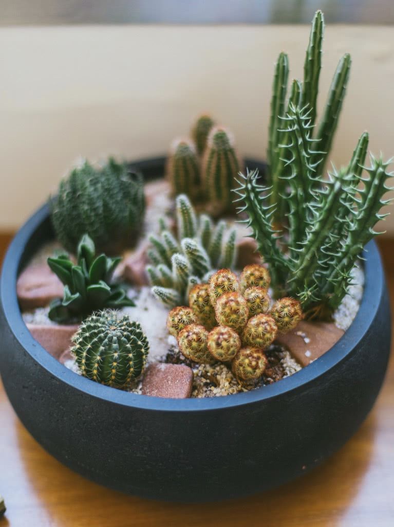 Tendências de Decoração com Vasos de Barro para 2025