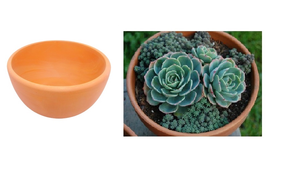 Guia Completo: Drenagem e Substrato Ideal para Suculentas em Vasos