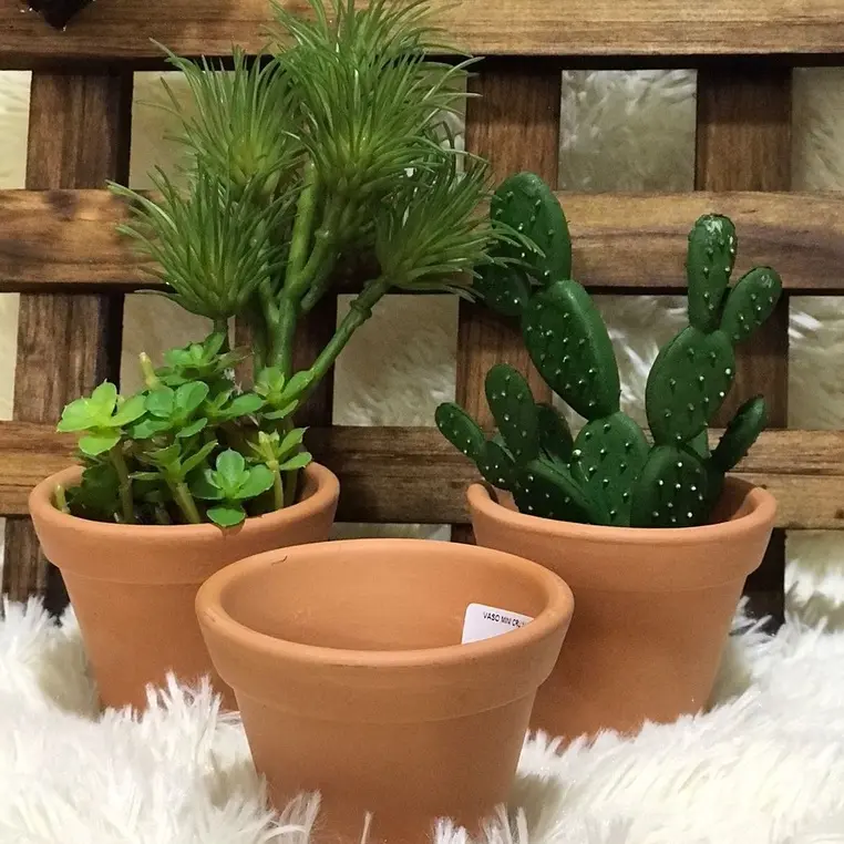 Como Personalizar Seus Vasos de Barro para Cactos e Suculentas