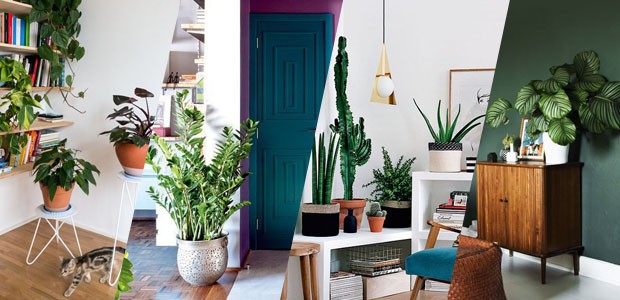 ideias decoração folhagem parede