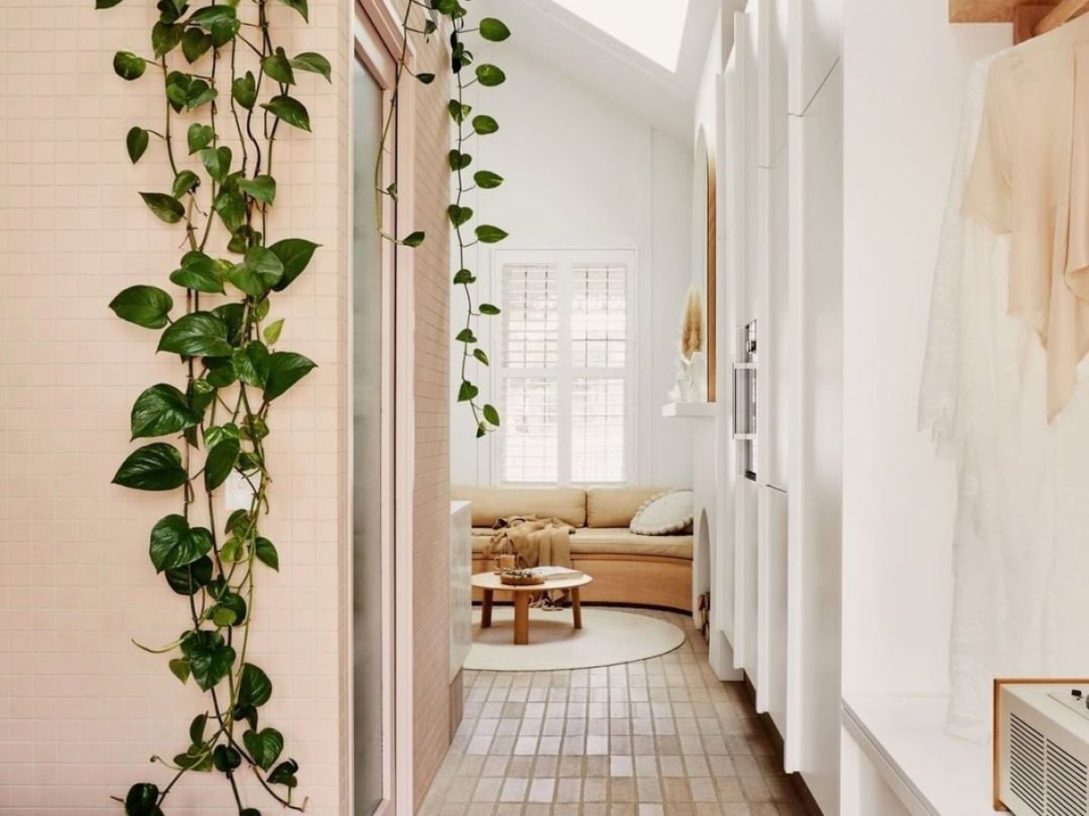 como instalar jardim vertical na parede