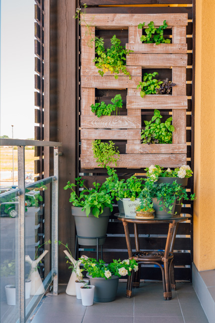 plantas ideais para jardim vertical em apartamento pequeno