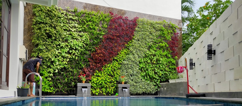 ideias criativas de jardim vertical para inspirar sua casa