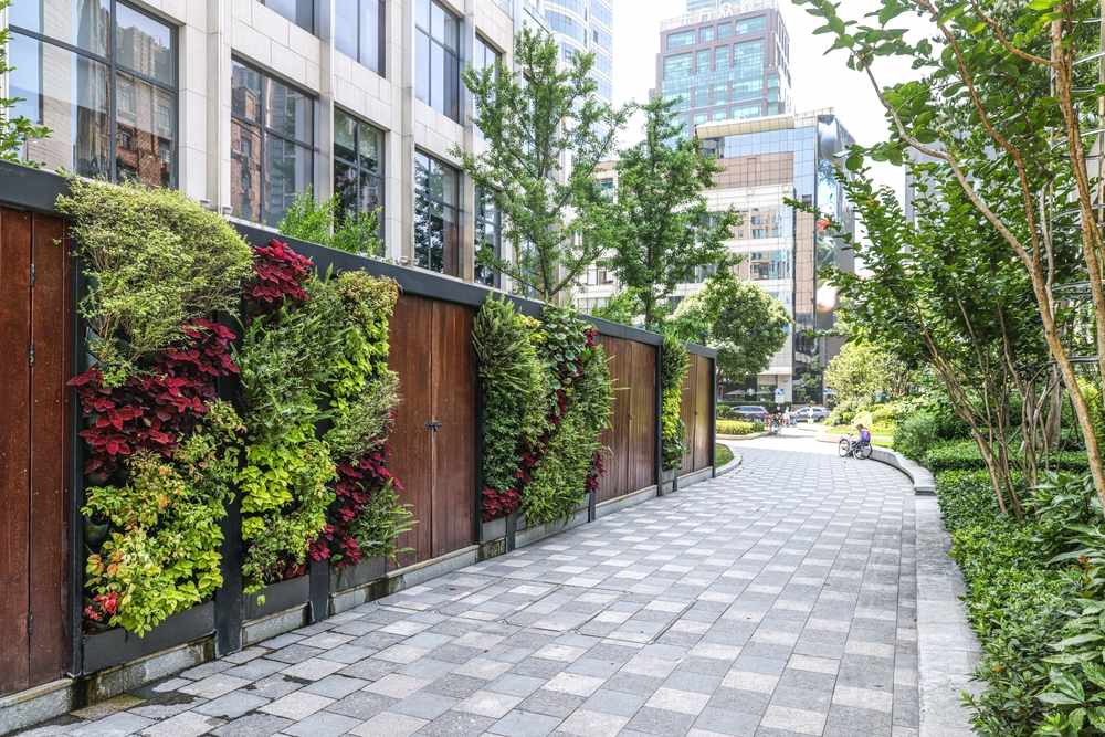 erros comuns ao montar um jardim vertical e como evitá-los