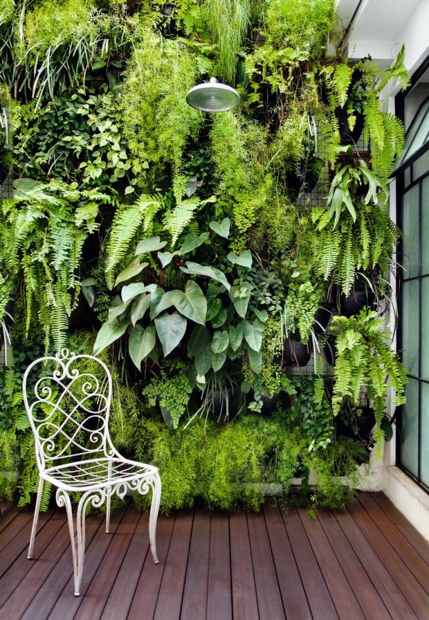 quanto custa um jardim vertical: guia completo de preços