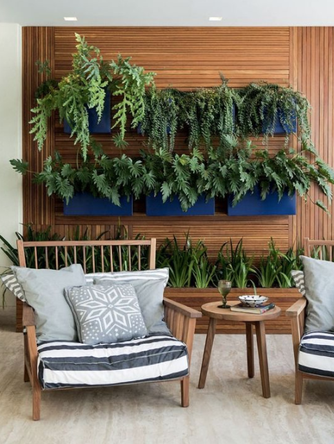 plantas na parede para sala