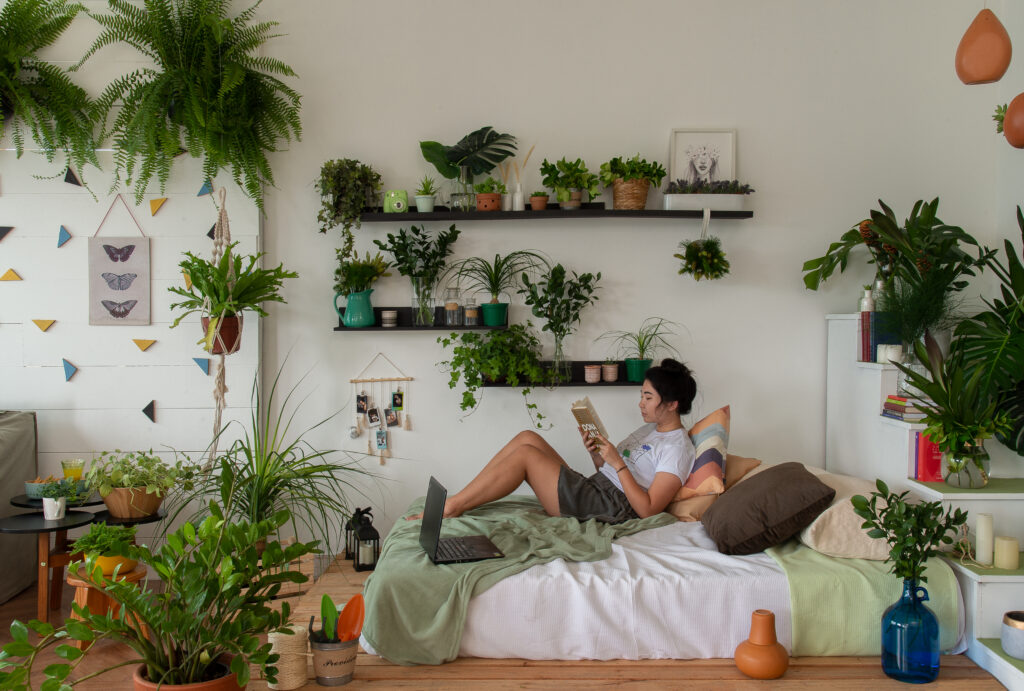 plantas na parede para sala