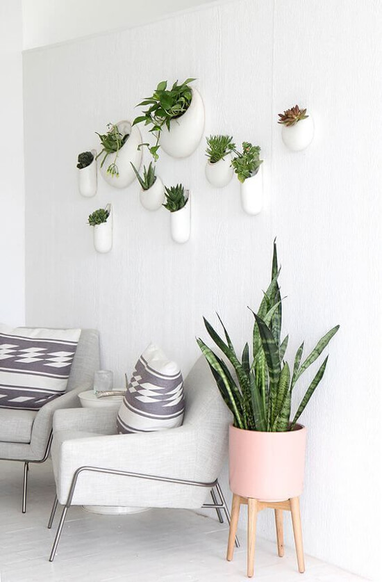 jardim vertical externo