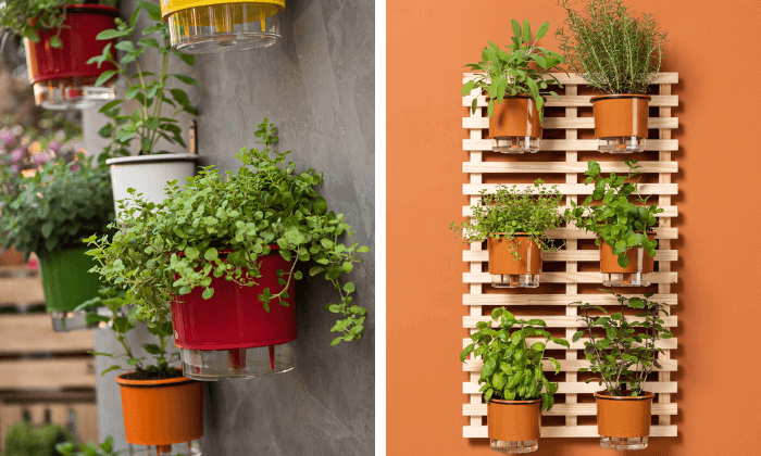 horta vertical