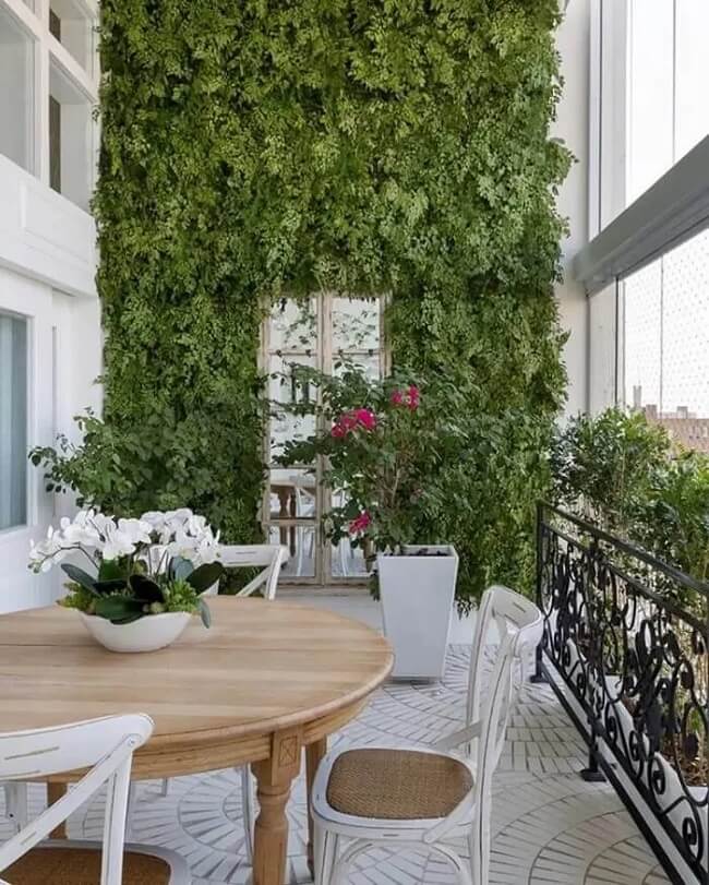 plantas pendentes na parede