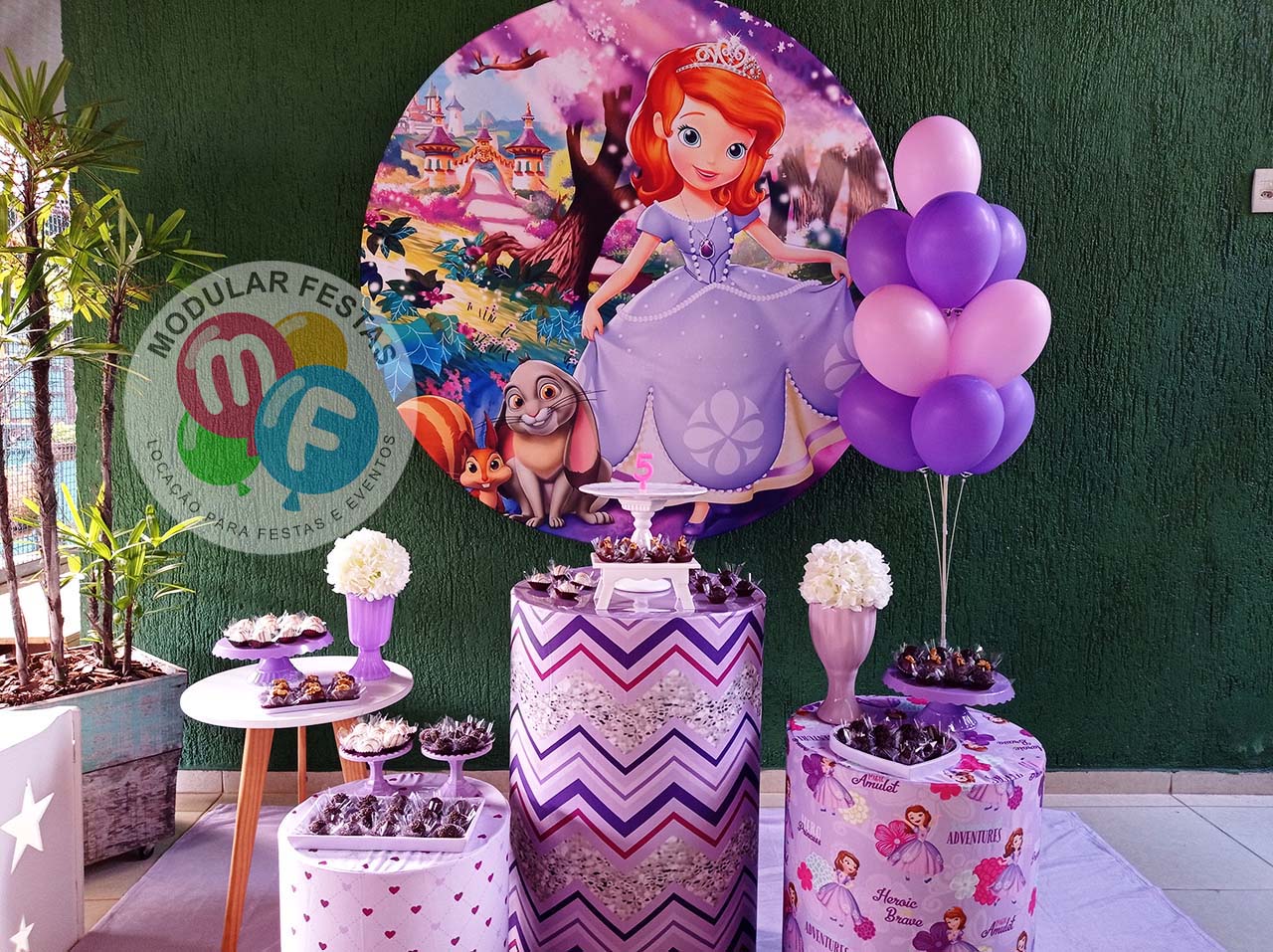 painel de festa Princesa Sofia (poli banner, TNT, tecido)
