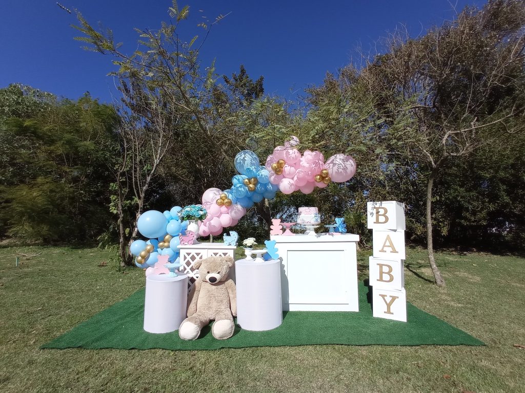 ideias chá revelação jardim