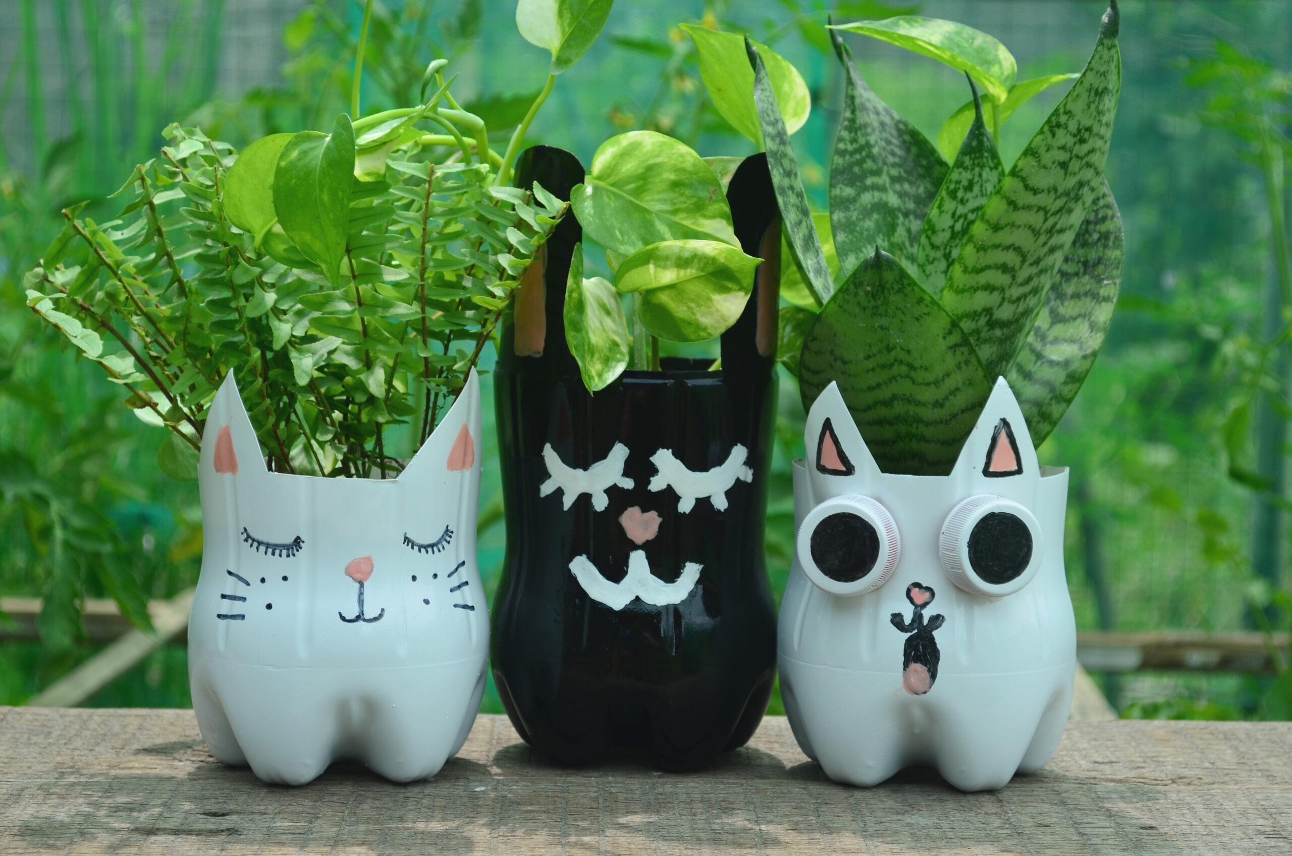 decoração de garrafa pet