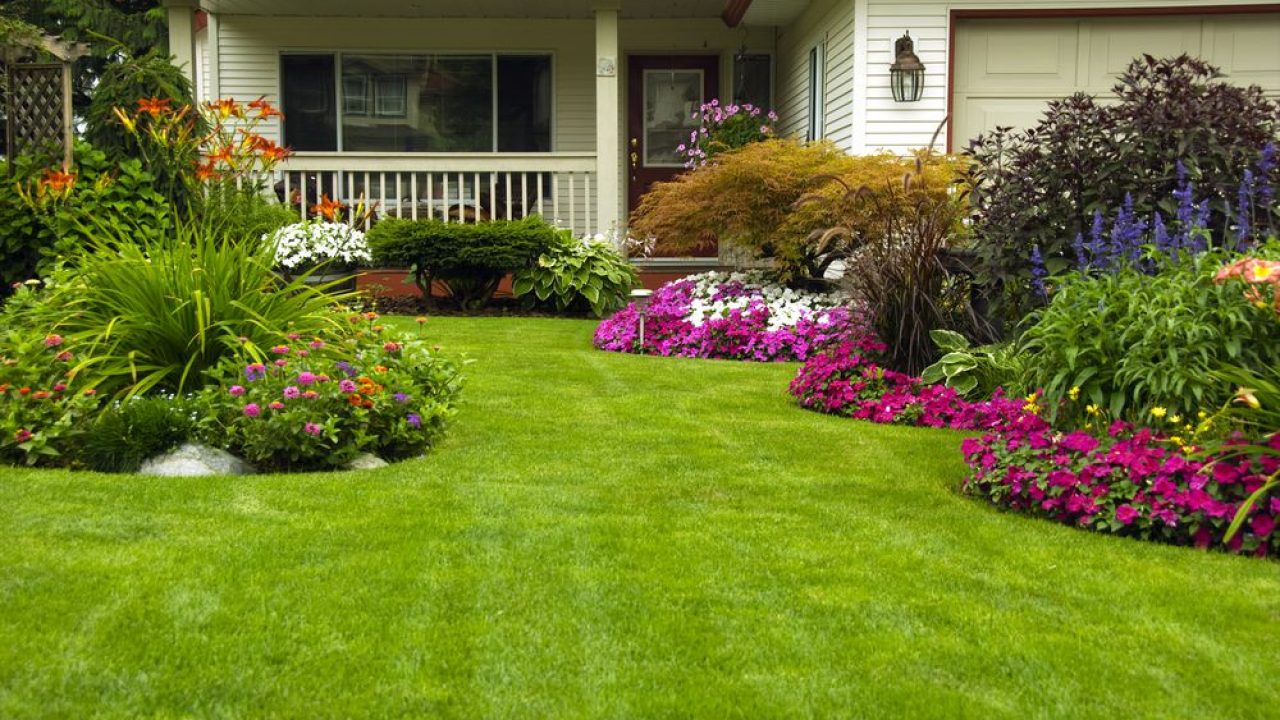 decoração de jardim