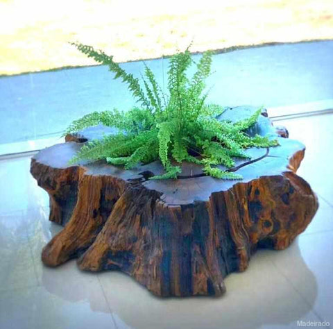 bolacha madeira barata onde comprar para decorar