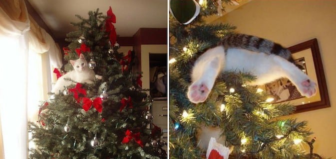 decoração de natal de pobre