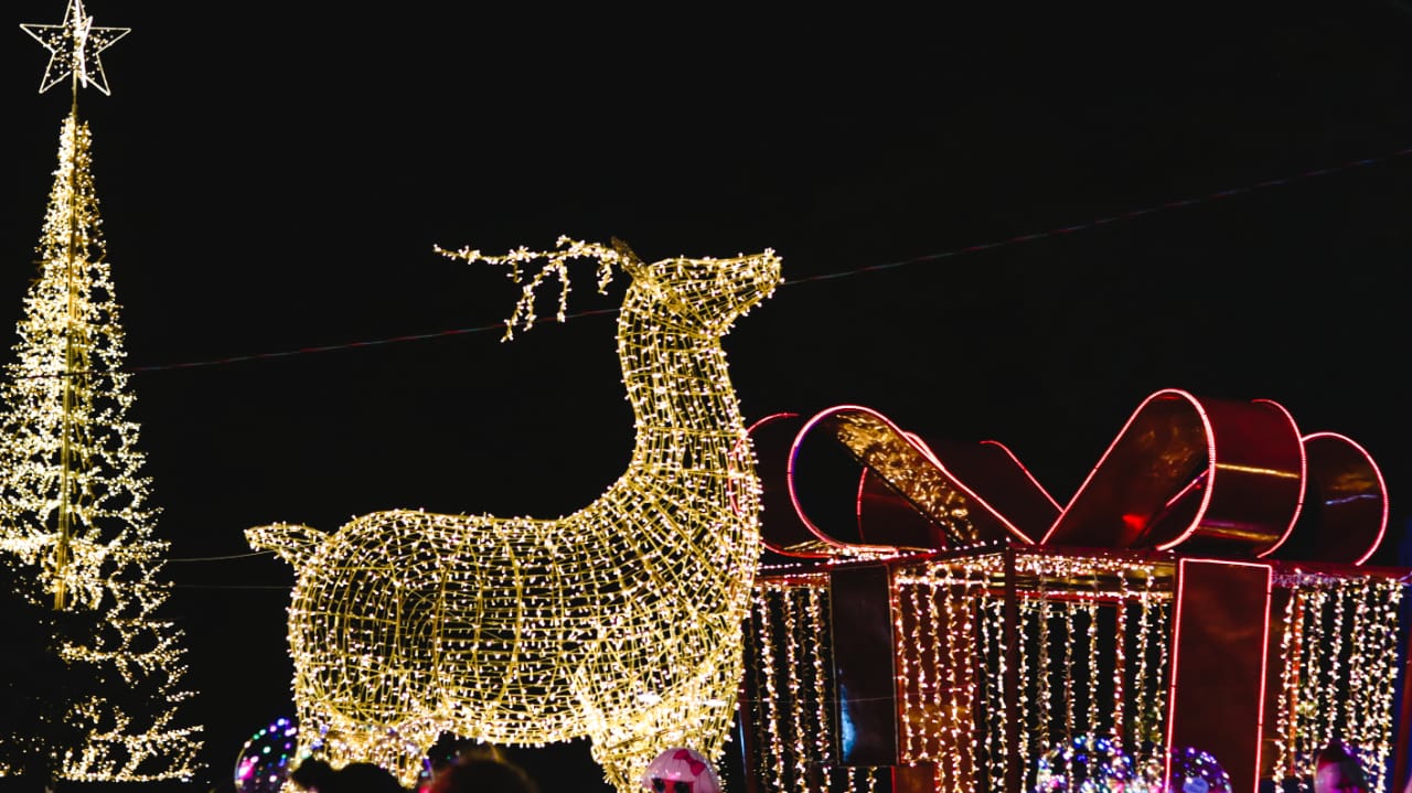 quanto custa decorar casa para o natal em Goiânia