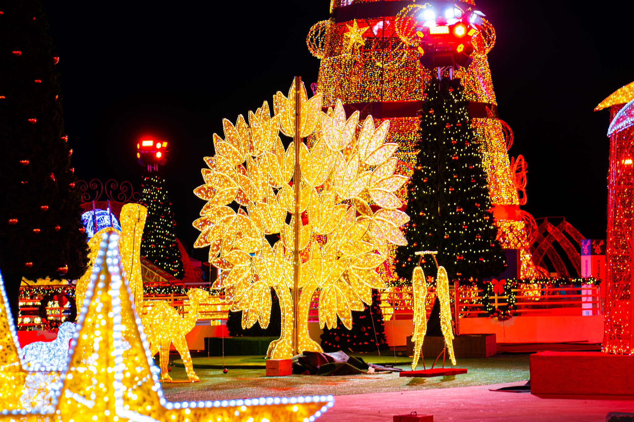 decoração de natal goiania