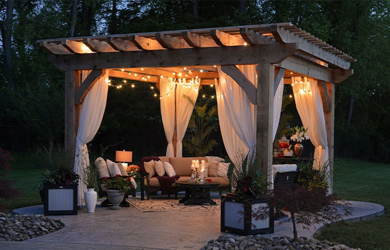 como guiar jasmim dos poetas em pérgola de madeira