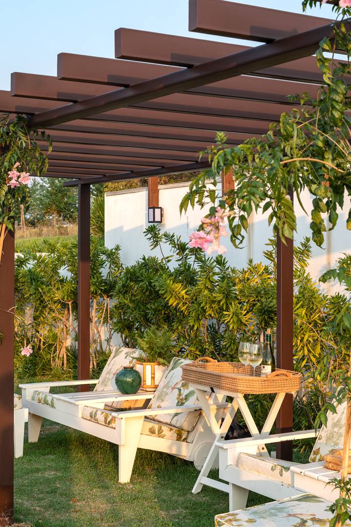 primavera vs tumbérgia qual a melhor trepadeira para pergolado