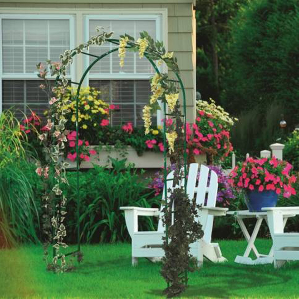 erros comuns ao escolher plantas para pérgola e como evitar