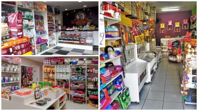 10 ideias criativas decoração pet shop pequeno e funcional