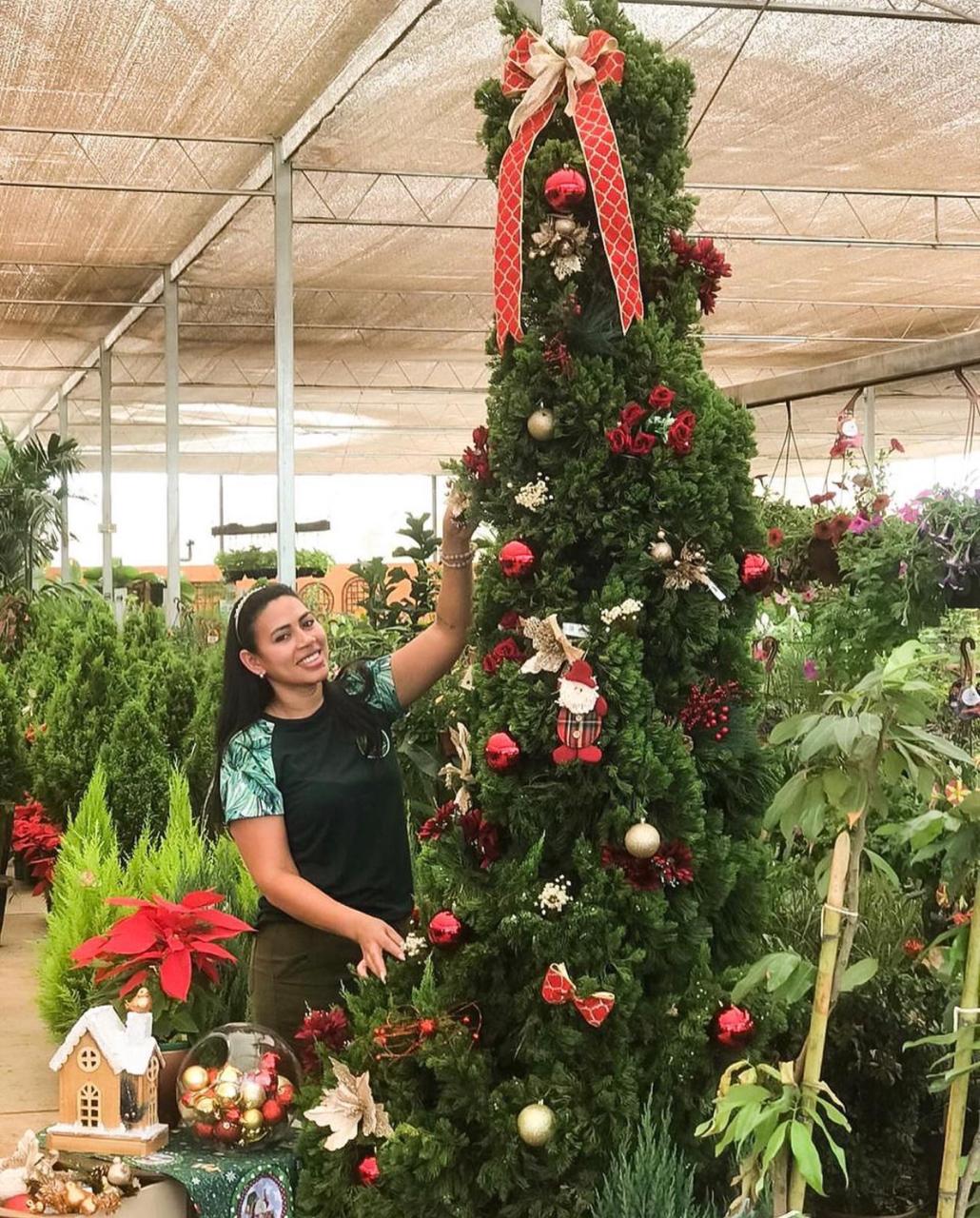 decoração de pinheiro de natal