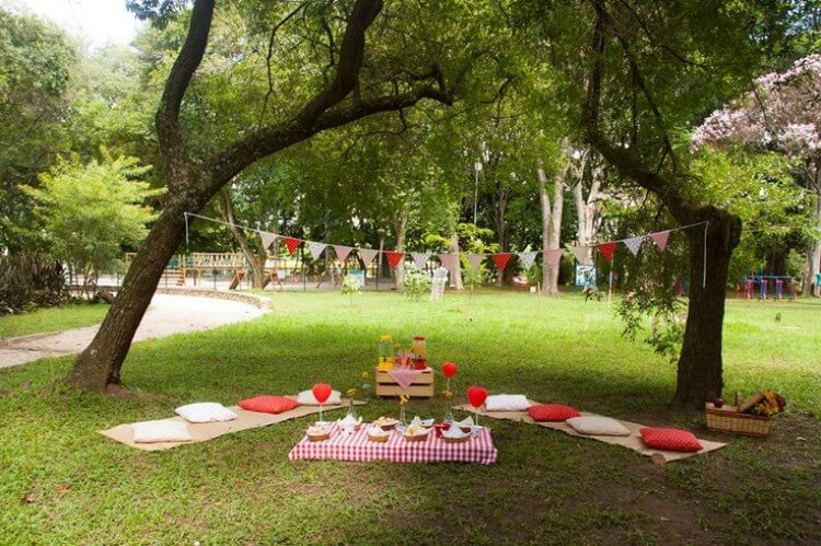 decoração de piquenique para aniversário