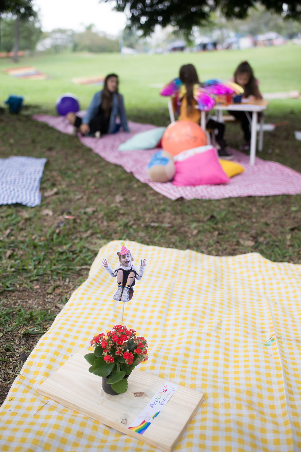 decoração de piquenique infantil