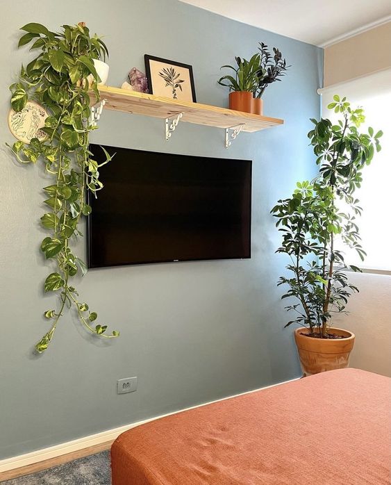 decoração prateleira acima da televisão