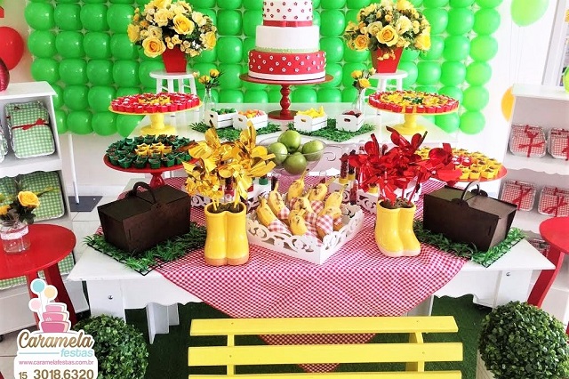 decoração festa piquenique adulto