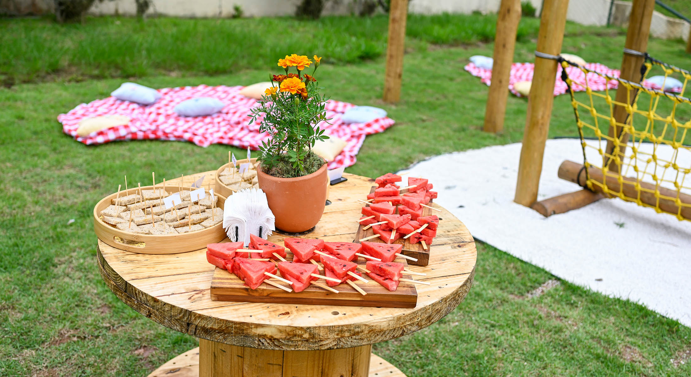 decoração festa piquenique simples