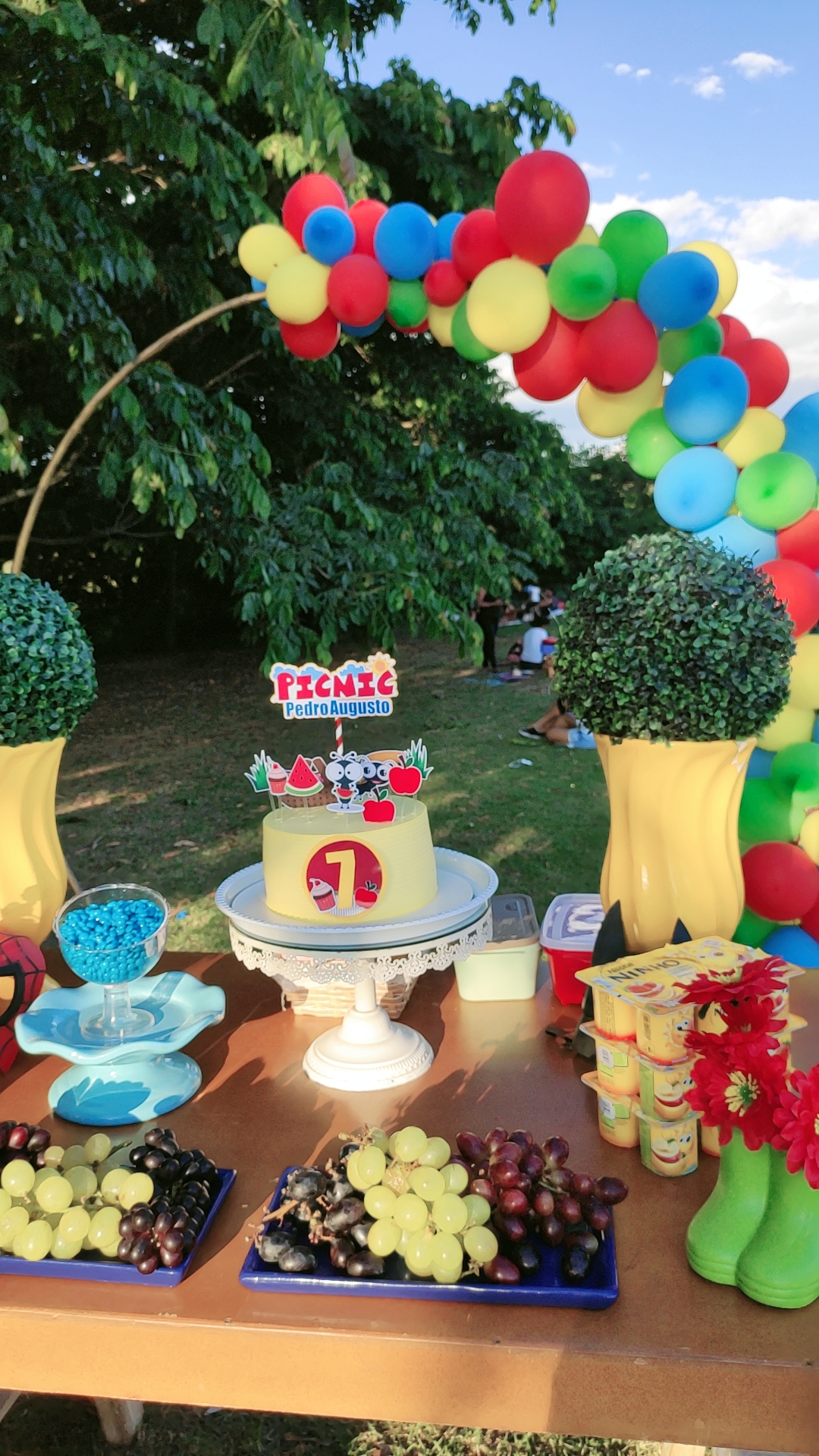 decoração festa piquenique DIY