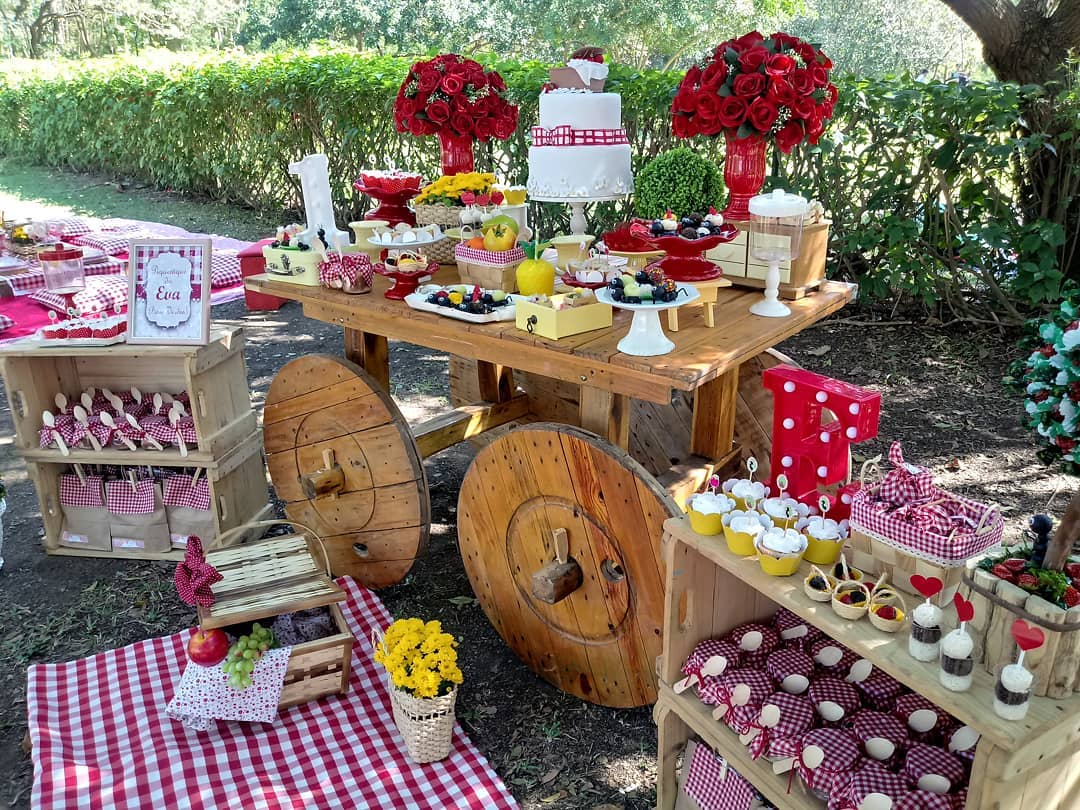 decoração festa piquenique simples