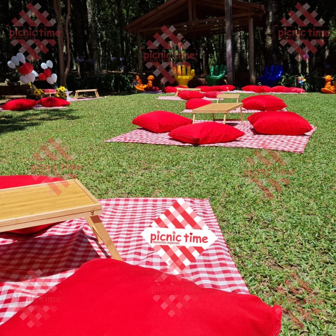 decoração festa piquenique no parque