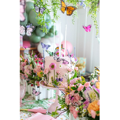 decoração jardim encantado das borboletas