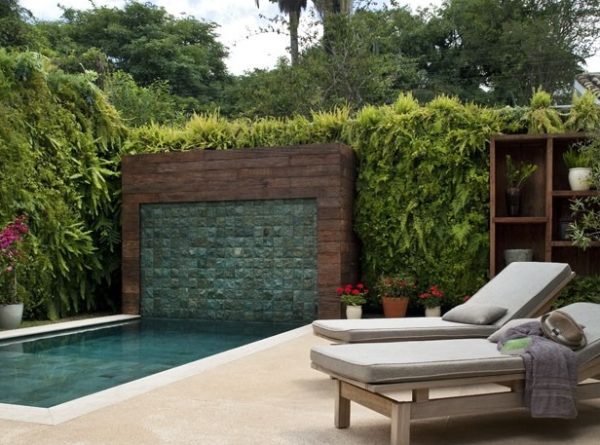 paisagismo muro piscina