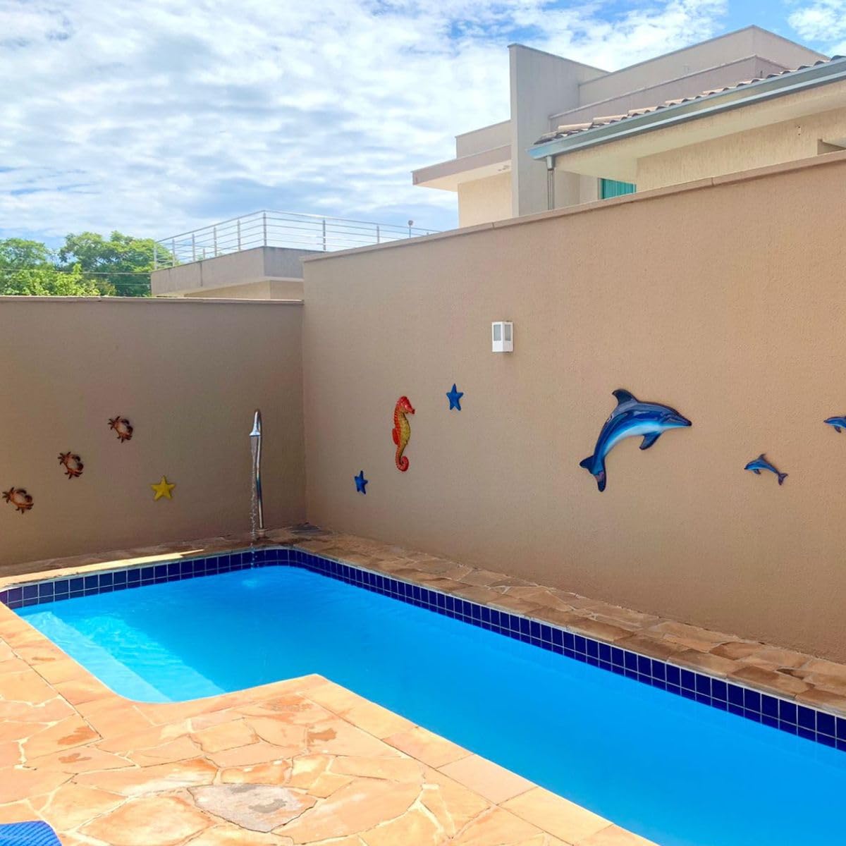 ideias muro piscina