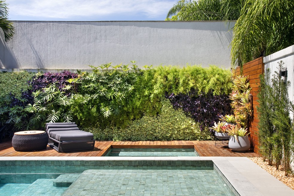 plantas tropicais para decoração de jardim