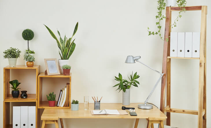 escritório pequeno vs escritório grande qual o melhor