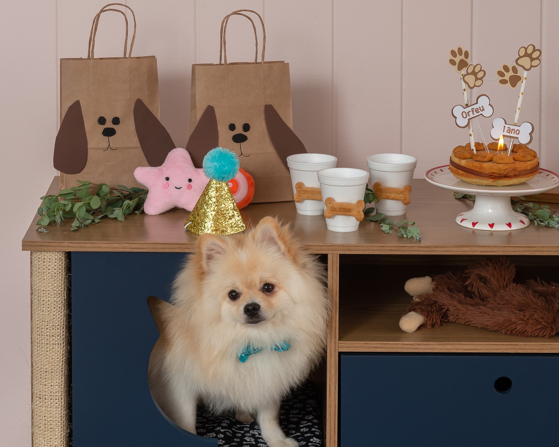 decoração para festa de cachorro simples