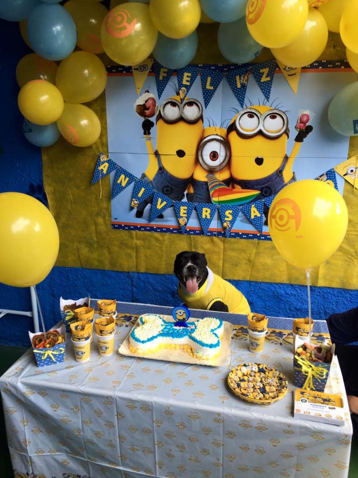 decoração para festa de cachorro simples